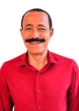 Foto de Pinheiro